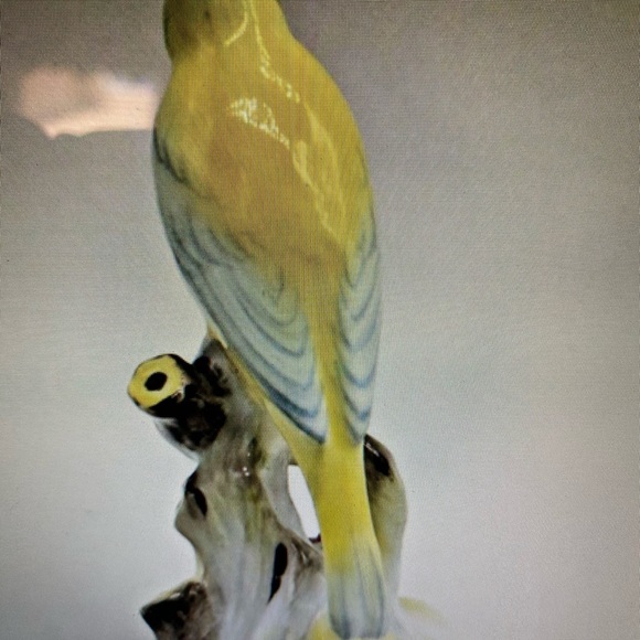 Royal Adderley Canary English Marked on underside - Picture 6 of 7